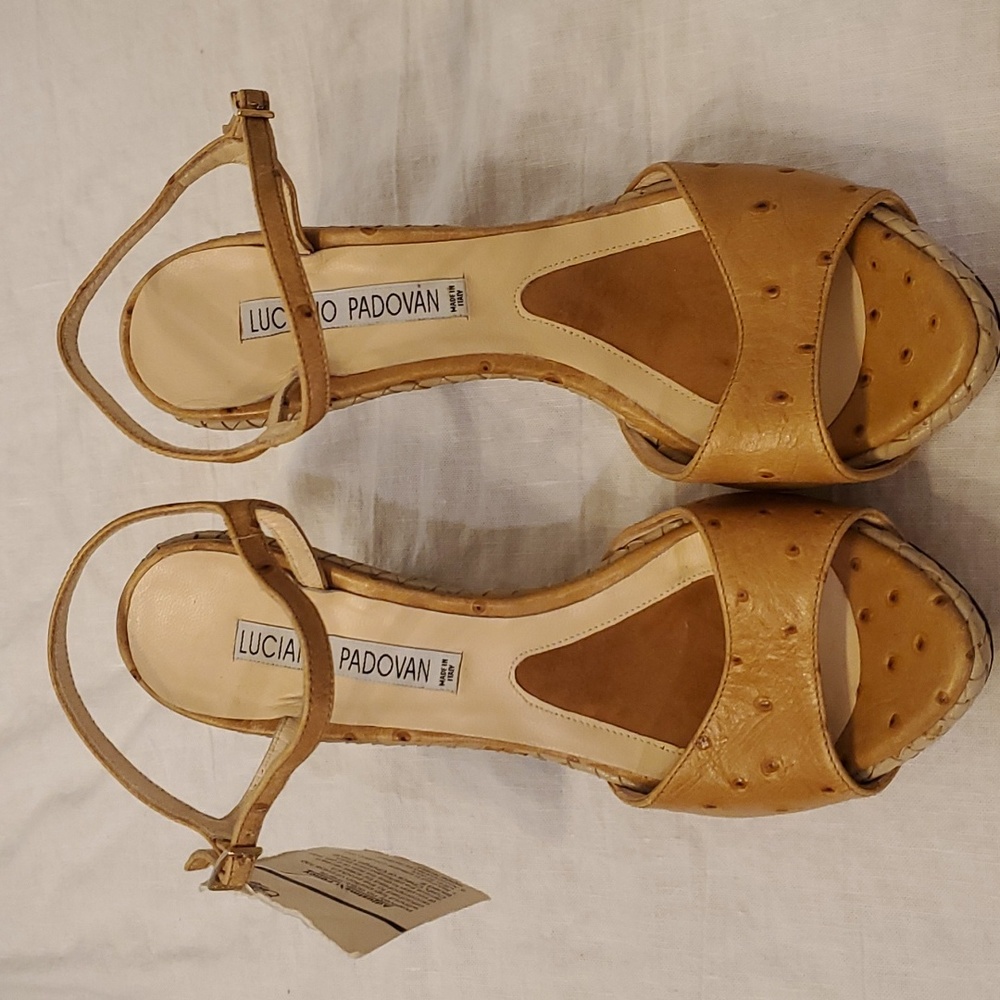 Luciano Padovan Wedge Sandal 6.5